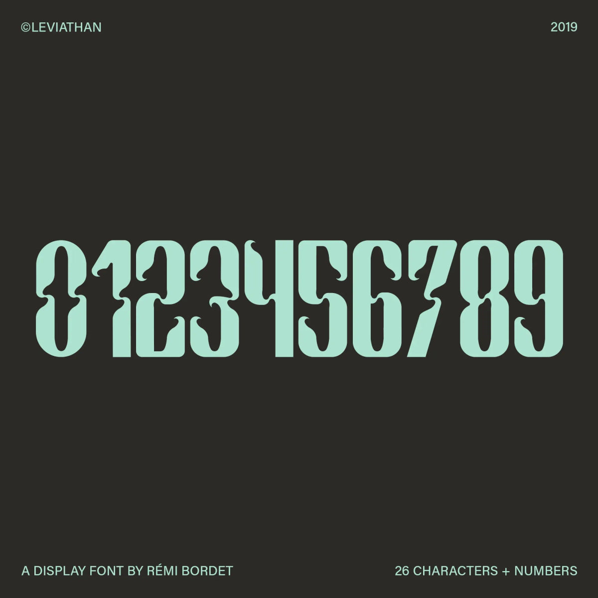 Leviathan Display Font - foxrockettstudio