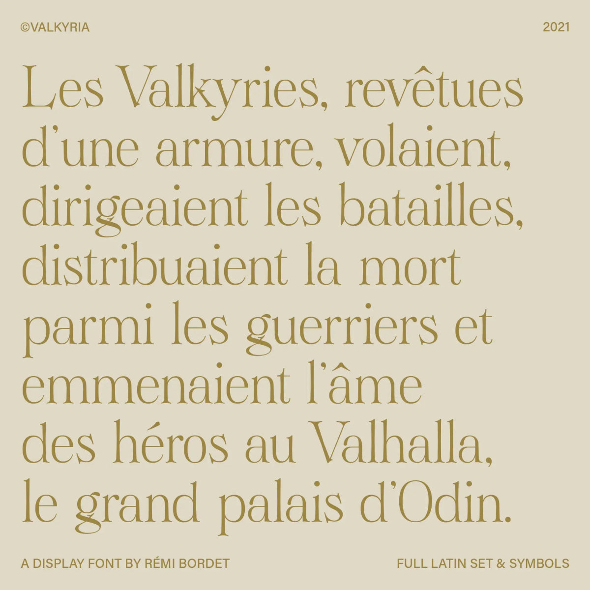 Valkyria Display Font - foxrockettstudio