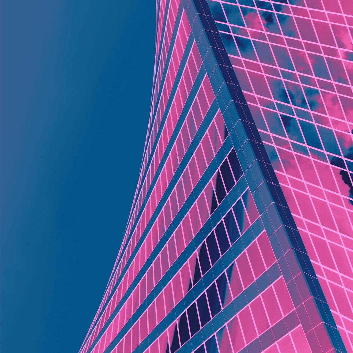 Templates & Effects - foxrockettstudio