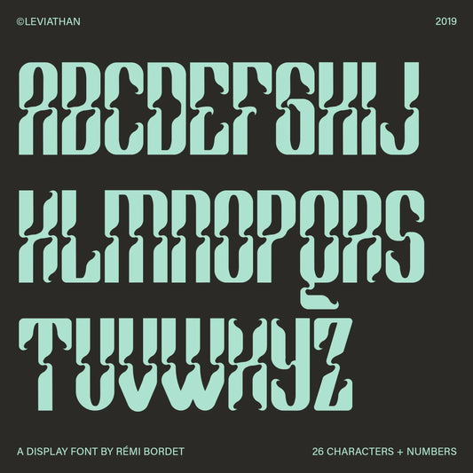 Leviathan Display Font - foxrockettstudio