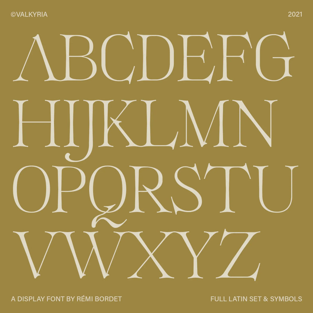 Valkyria Display Font - foxrockettstudio